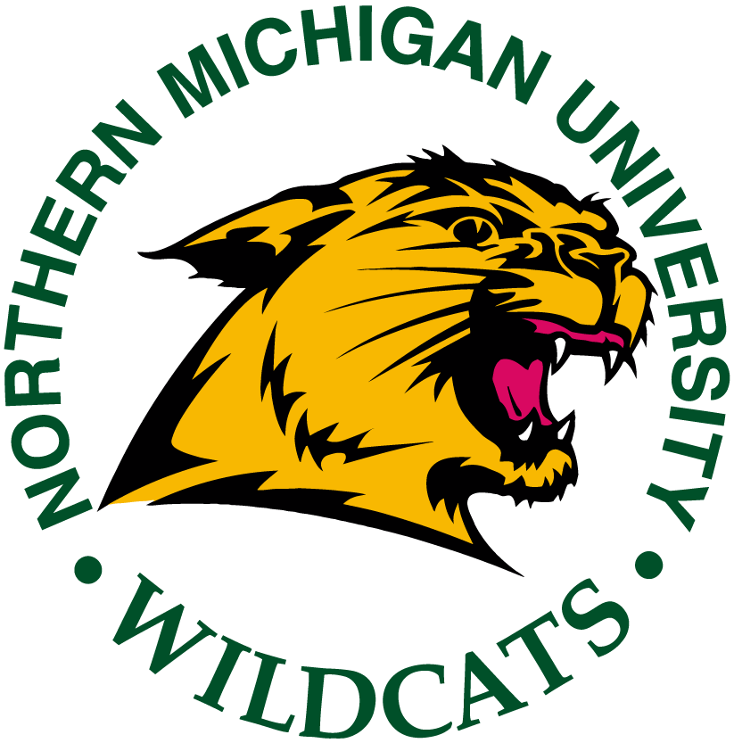 Northern Michigan Wildcats 1993-2015 Primary Logo diy iron on heat transfer